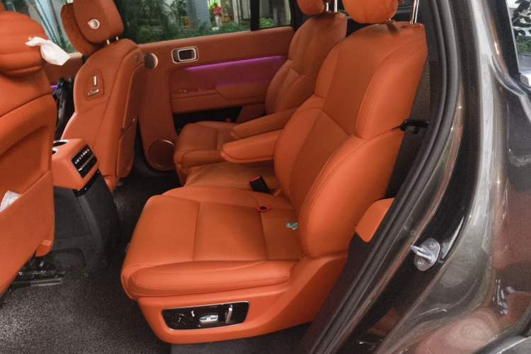 Used Li Auto L9 2022 Max model Left Rear Seat