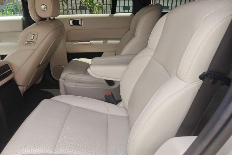 Used Li Auto L9 2022 Max model Left Rear Seat