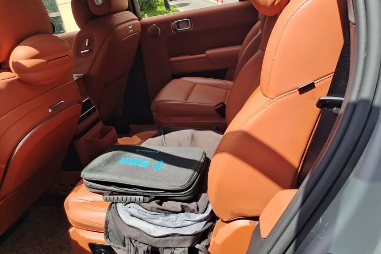 Used Li Auto L9 2022 Max model Left Rear Seat