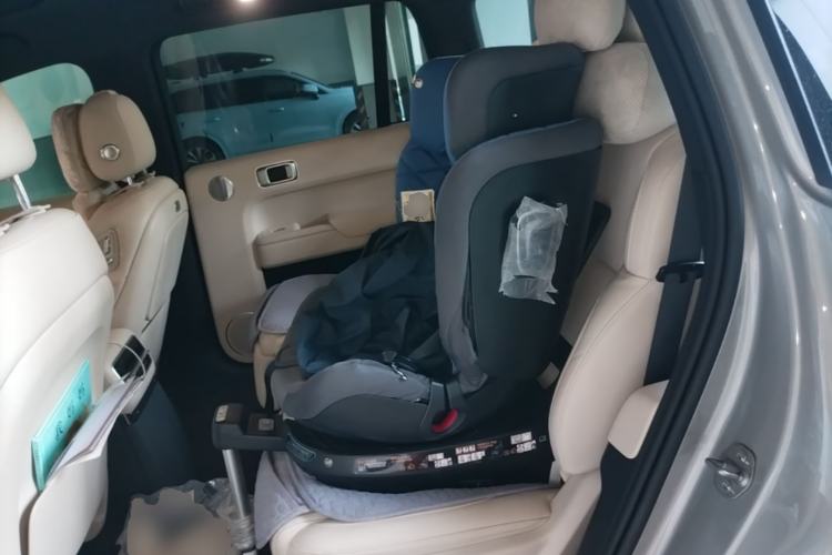 Used Li Auto L9 2022 Max model Left Rear Seat