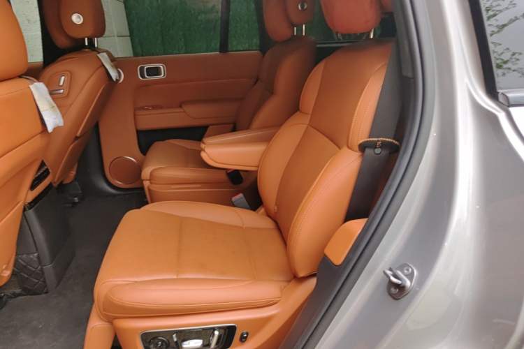 Used Li Auto L9 2022 Max model Left Rear Seat