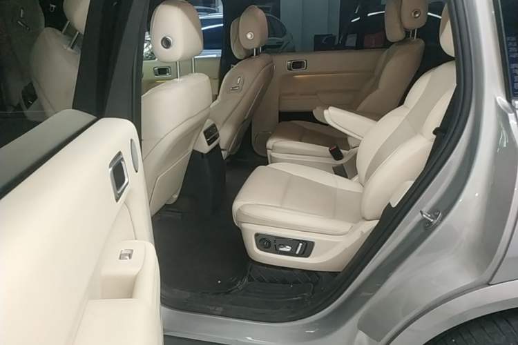 Used Li Auto L9 2022 Max model Left Rear Seat