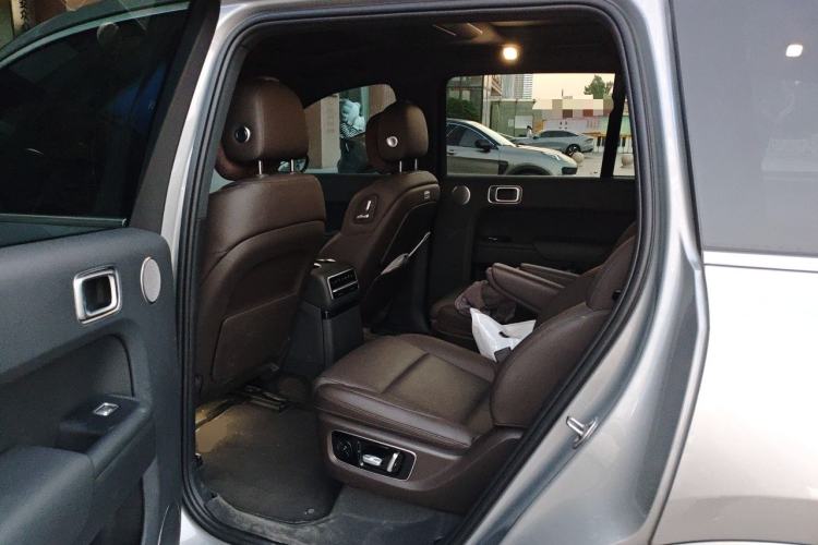 Used Li Auto L9 2022 Max model Left Rear Seat