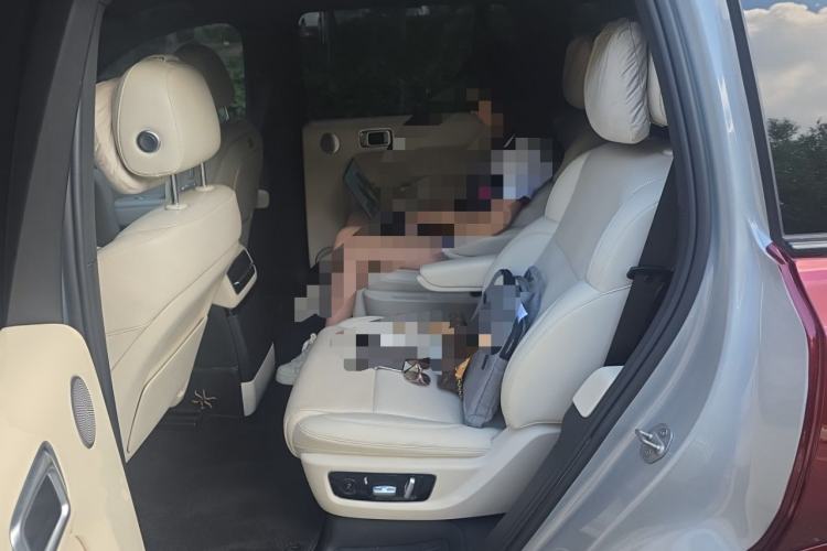 Used Li Auto L9 2022 Max model Left Rear Seat