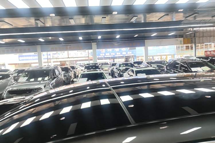 Used Li Auto L9 2022 Max model Roof