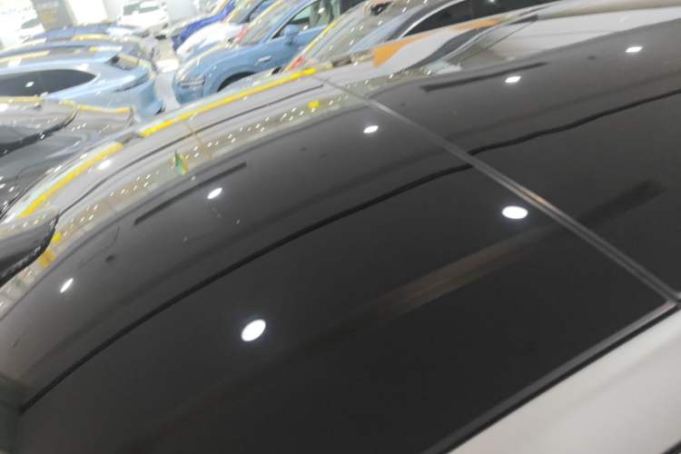 Used Li Auto L9 2022 Max model Roof