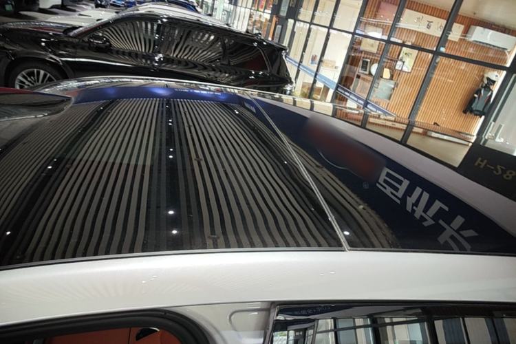 Used Li Auto L9 2022 Max model Roof