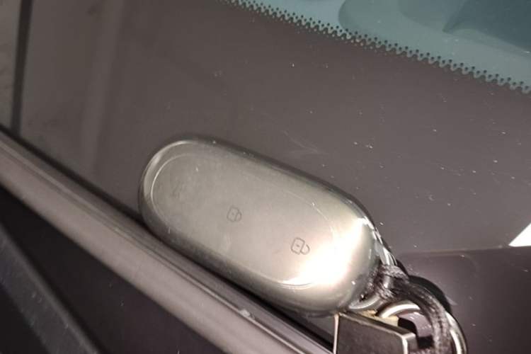 Used Li Auto L9 2022 Max model Vehicle Key