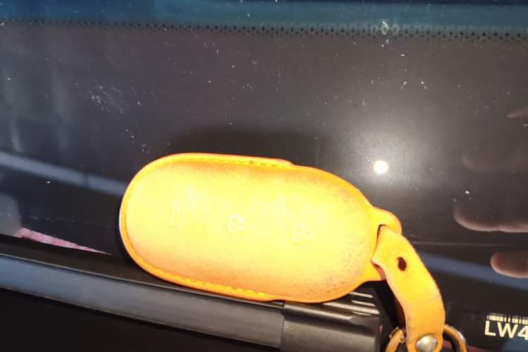 Used Li Auto L9 2022 Max model Vehicle Key