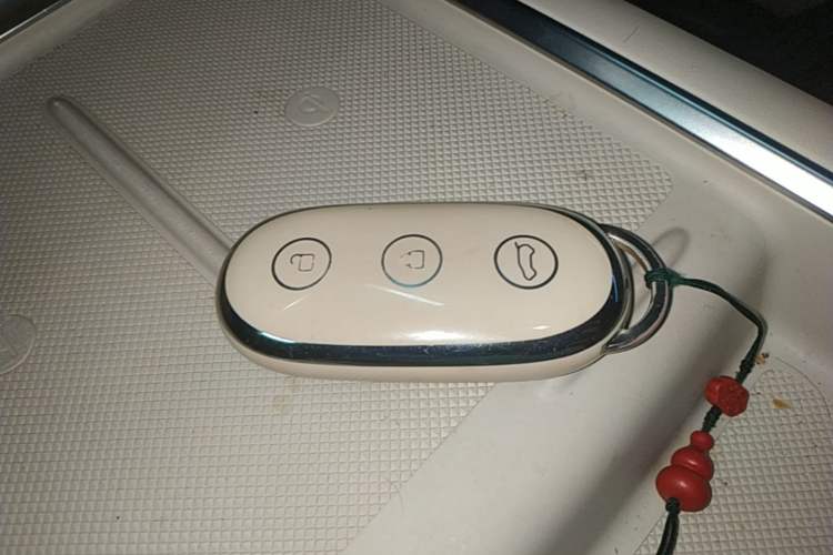 Used Li Auto L9 2022 Max model Vehicle Key