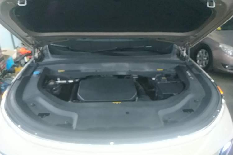Used Li Auto L9 2022 Max model Engine Bay