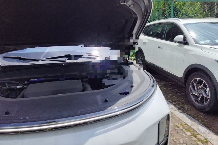 Used Li Auto L9 2022 Max model Engine Bay Left