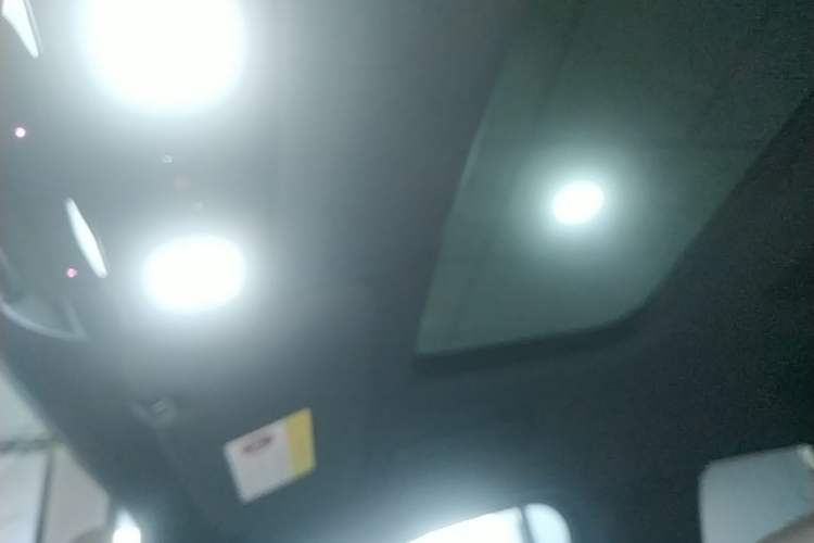 Used Li Auto L9 2022 Max model Headliner