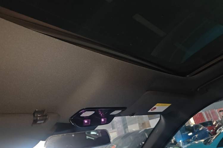 Used Li Auto L9 2022 Max model Headliner
