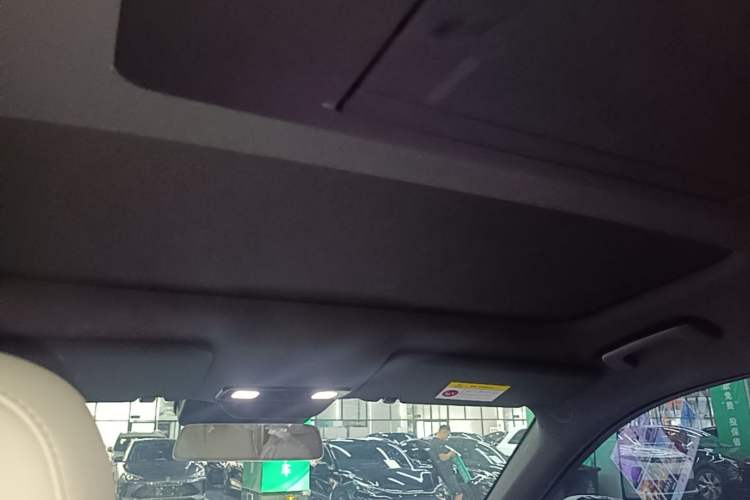 Used Li Auto L9 2022 Max model Headliner