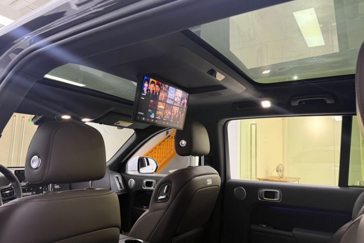 Used Li Auto L9 2022 Max model Headliner