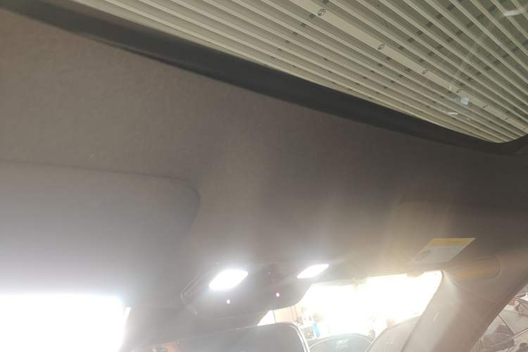 Used Li Auto L9 2022 Max model Headliner