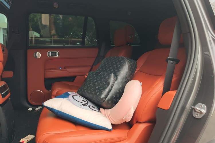 Used Li Auto L9 2022 Max model Left Rear Seat