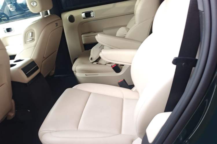 Used Li Auto L9 2022 Max model Left Rear Seat