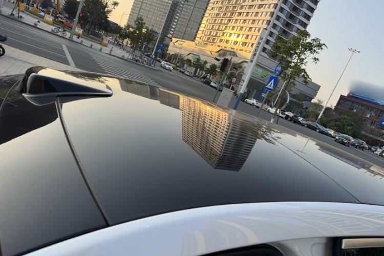 Used Li Auto L9 2022 Max model Roof
