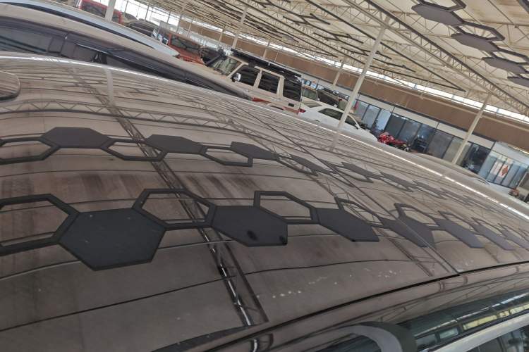 Used Li Auto L9 2022 Max model Roof