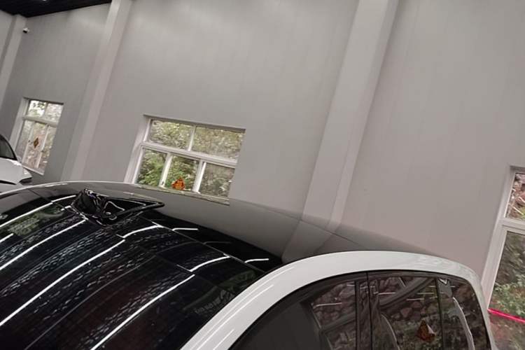 Used Li Auto L9 2022 Max model Roof