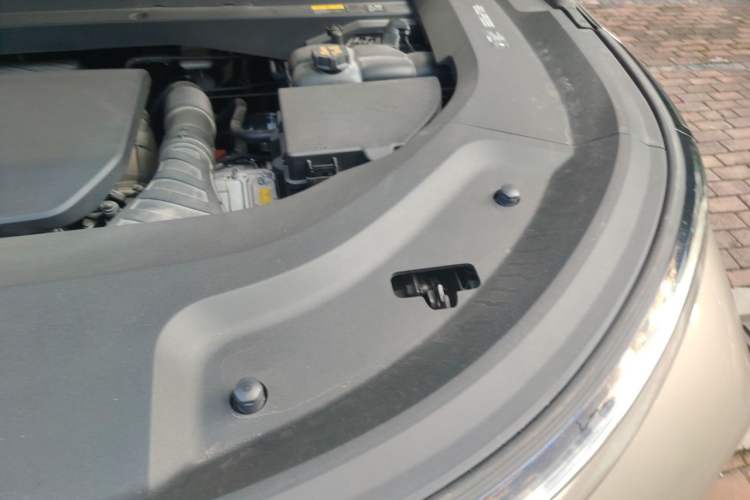 Used Li Auto L9 2022 Max model Engine Bay Left