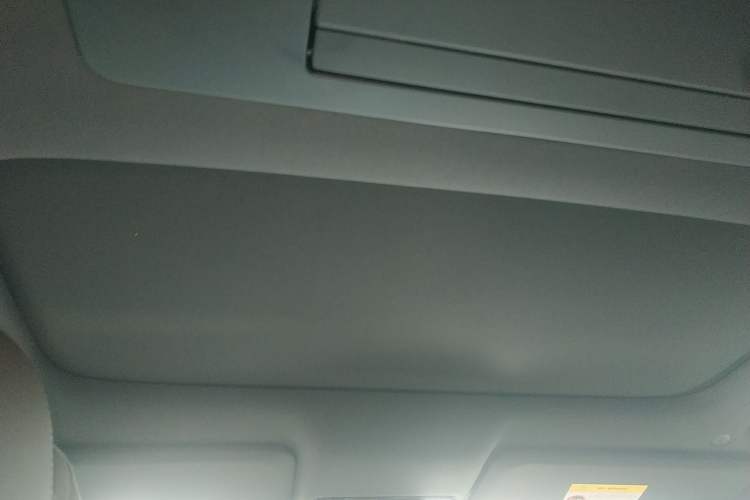 Used Li Auto L9 2022 Max model Headliner
