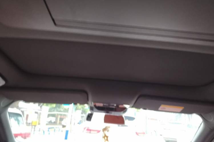 Used Li Auto L9 2022 Max model Headliner