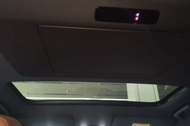 Used Li Auto L9 2022 Max model Headliner