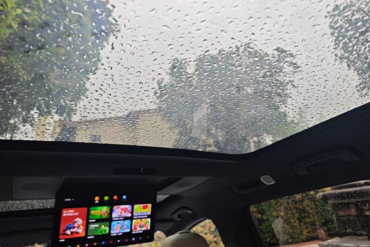 Used Li Auto L9 2022 Max model Headliner