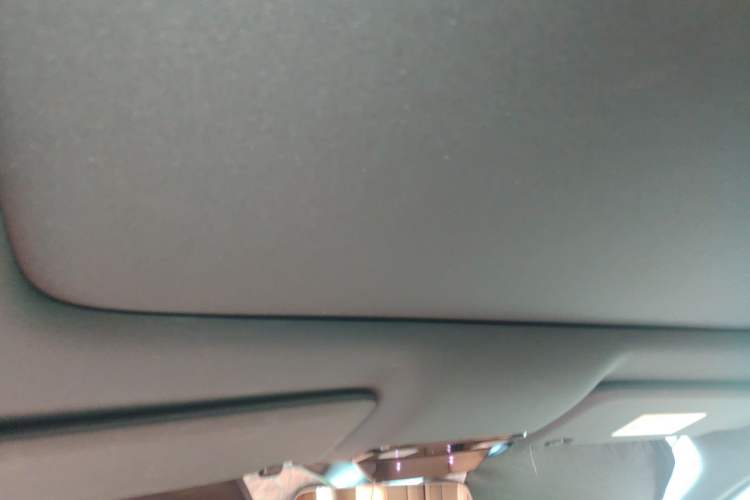 Used Li Auto L9 2022 Max model Headliner