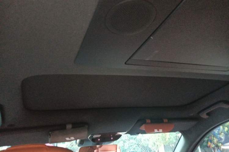 Used Li Auto L9 2022 Max model Headliner