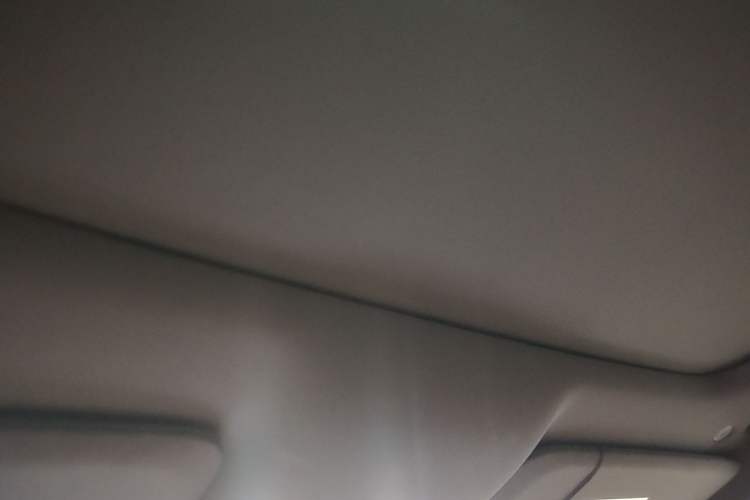 Used Li Auto L9 2022 Max model Headliner