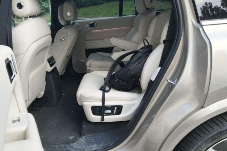 Used Li Auto L9 2022 Max model Left Rear Seat