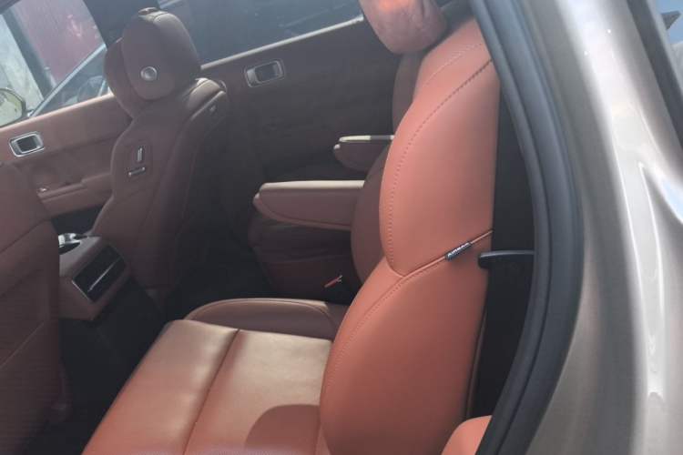 Used Li Auto L9 2022 Max model Left Rear Seat
