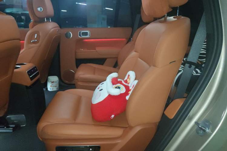 Used Li Auto L9 2022 Max model Left Rear Seat