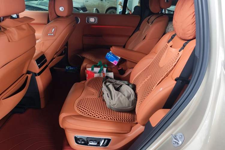Used Li Auto L9 2022 Max model Left Rear Seat