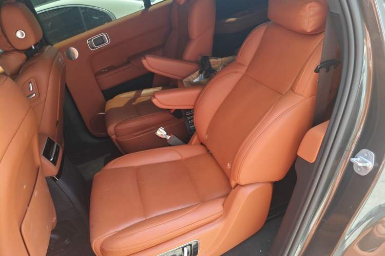 Used Li Auto L9 2022 Max model Left Rear Seat