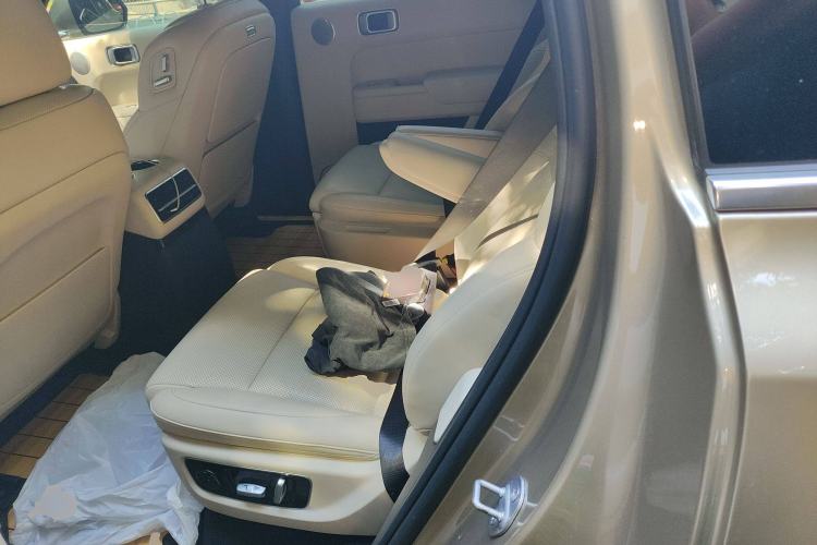 Used Li Auto L9 2022 Max model Left Rear Seat
