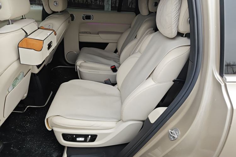 Used Li Auto L9 2022 Max model Left Rear Seat