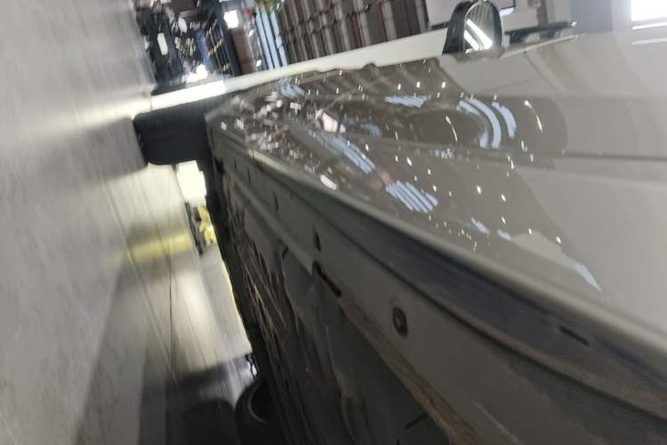 Used Li Auto L9 2022 Max model Left Side Sill
