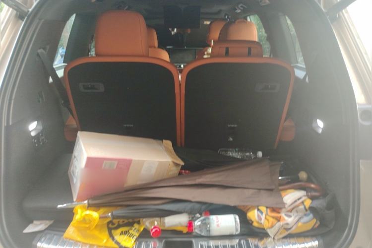 Used Li Auto L9 2022 Max model Trunk