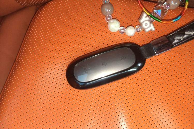Used Li Auto L9 2022 Max model Vehicle Key