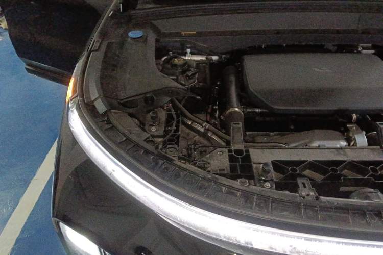 Used Li Auto L9 2023 Pro Model Engine Bay Right
