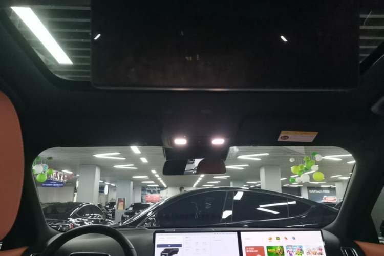 Used Li Auto L9 2023 Pro Model Headliner
