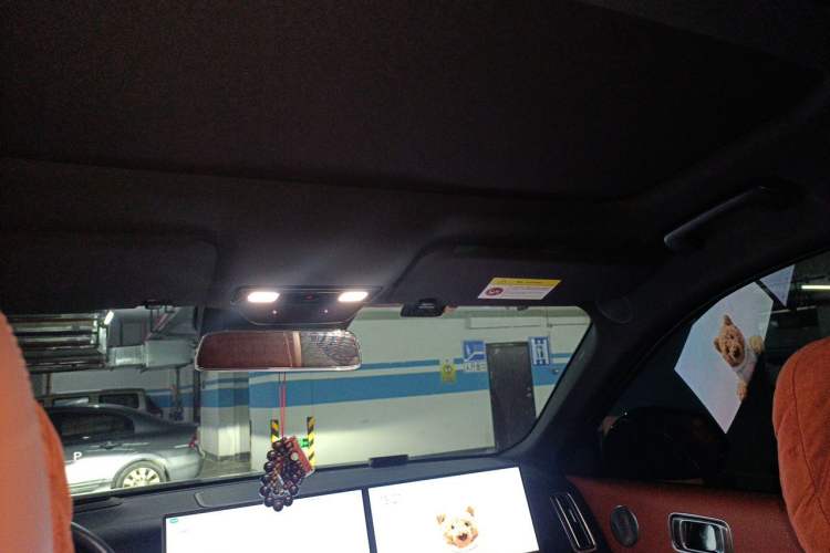 Used Li Auto L9 2023 Pro Model Headliner