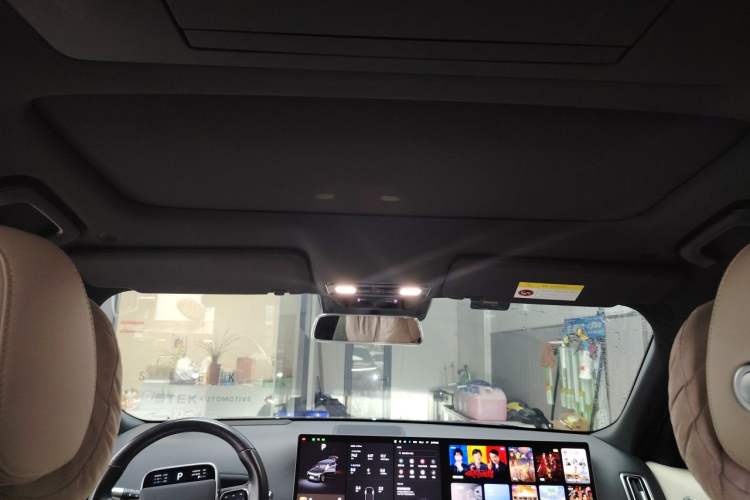 Used Li Auto L9 2023 Pro Model Headliner
