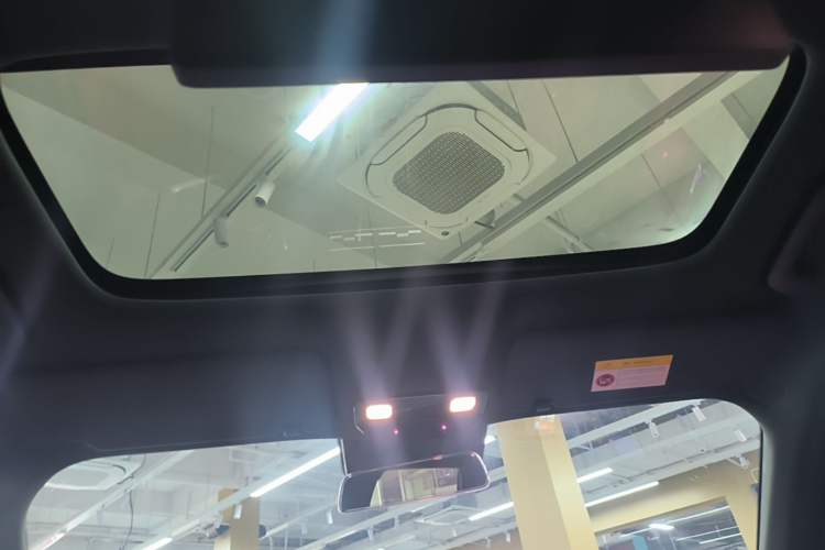 Used Li Auto L9 2023 Pro Model Headliner