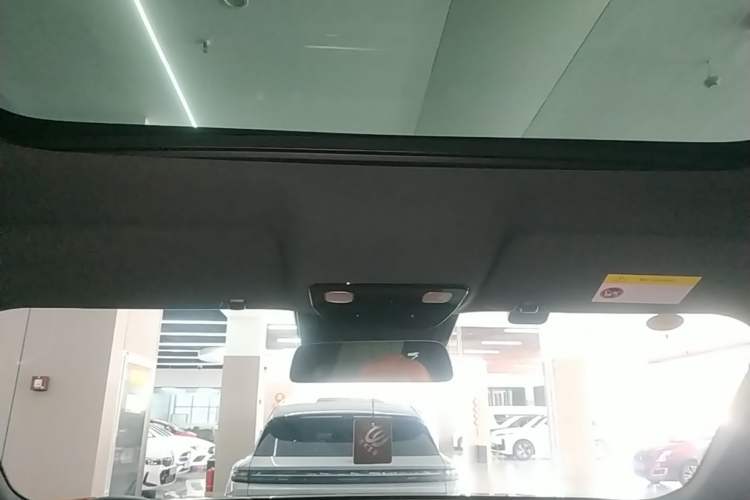 Used Li Auto L9 2023 Pro Model Headliner